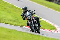 Oulton-Park-21st-March-2020;PJ-Motorsport-Photography-2020;anglesey;brands-hatch;cadwell-park;croft;donington-park;enduro-digital-images;event-digital-images;eventdigitalimages;mallory;no-limits;oulton-park;peter-wileman-photography;racing-digital-images;silverstone;snetterton;trackday-digital-images;trackday-photos;vmcc-banbury-run;welsh-2-day-enduro